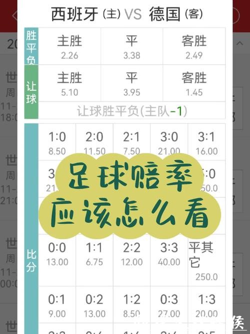世界杯下注入口与赔率相关内容解析